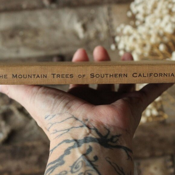 Vintage 1920s Book, "The Mountain Trees of Southern California" by Edmund Jaeger - Picture 4 of 10